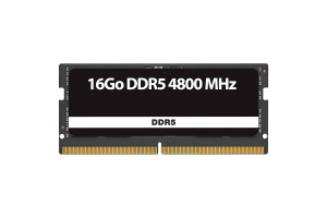 RAM.jpg